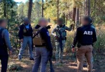 Detuvieron a 87 criminales tras operativos en Zona Occidente
