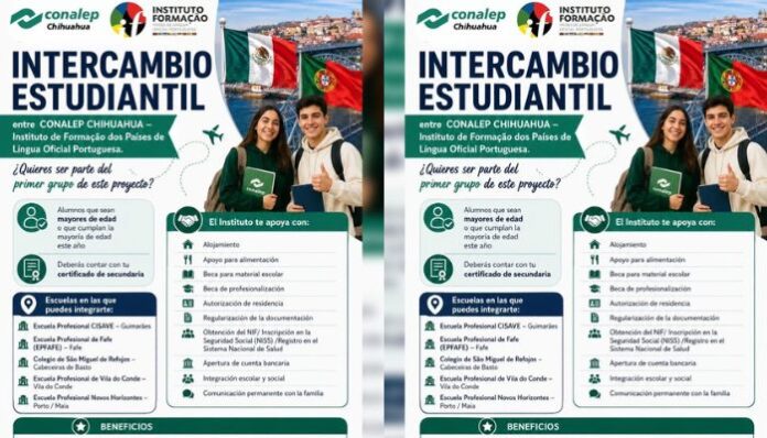 Diseño sin título - 2026-08-11T084901.331