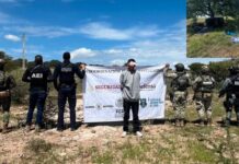 Capturaron a presunto “halcón” tras operativo en Parral