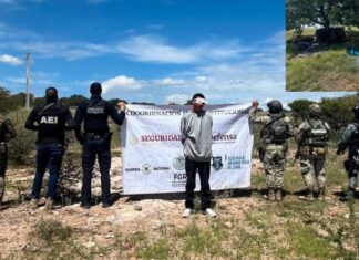 Capturaron a presunto “halcón” tras operativo en Parral