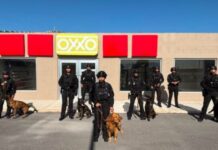 Demuestra Policía Municipal habilidades de binomios K9