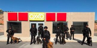 Demuestra Policía Municipal habilidades de binomios K9