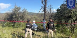 Localizaron osamentas y restos óseos tras rastreo en El Willy