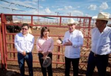Sonora reactiva la exportación ganadera hacia EE. UU.