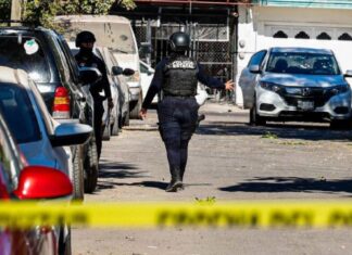 Disminuyen 51% homicidios dolosos en México: Sheinbaum