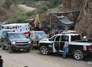 Muere gambusino al caer en tiro de mina en Santa Bárbara