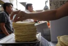 Precio de la tortilla registra alza; prevén posibles incrementos
