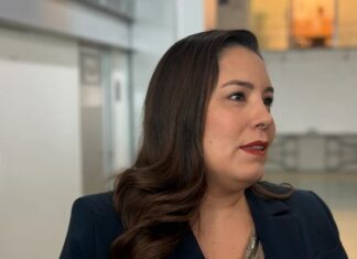 PT presiona a Morena por candidatura de Andrea Chávez: Joss Vega