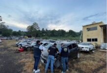 Reportan 172 vehículos robados en el país; Chihuahua registró 11 casos
