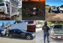 Reportan 115 vehículos robados en México; Chihuahua registró siete casos
