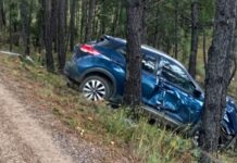 Salió de la carrera y chocó contra árboles rumbo a Balleza
