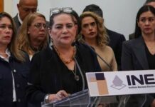 Taddei rechaza renunciar al INE; “ataques afectan a la institución”
