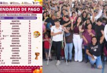 Bienestar anuncia calendario de pagos para noviembre