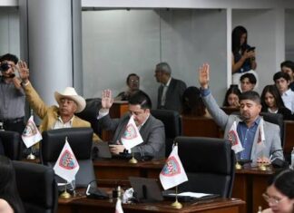 Garantiza Congreso el acceso de las personas con discapacidad, acompañadas de perros guía, a todos los espacios y al transporte público