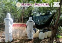 Destruyen laboratorio clandestino de metanfetamina en Sinaloa
