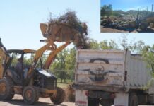 Municipio inicia limpieza de 18 panteones rurales