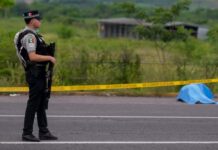12 homicidios en Sinaloa; 3 en Chihuahua
